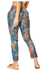 MCPA0041C